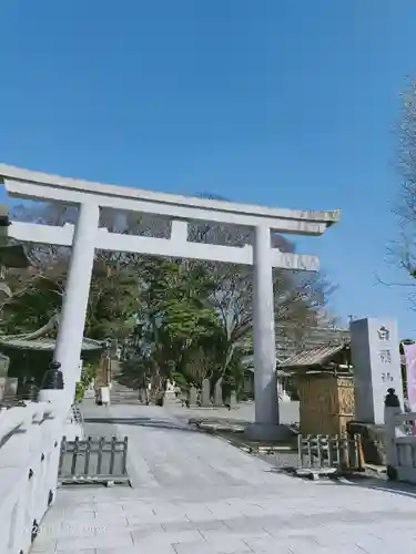 白旗神社の鳥居