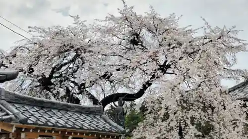 光榮寺(群馬県)