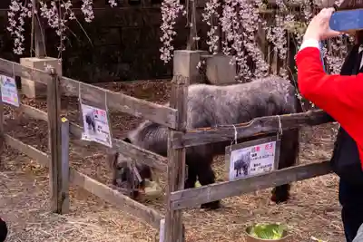 大石神社(京都府)