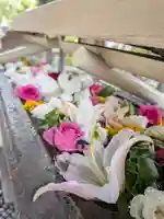 鳩森八幡神社の手水舎