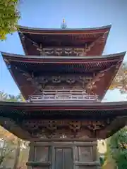 豪徳寺の建物その他