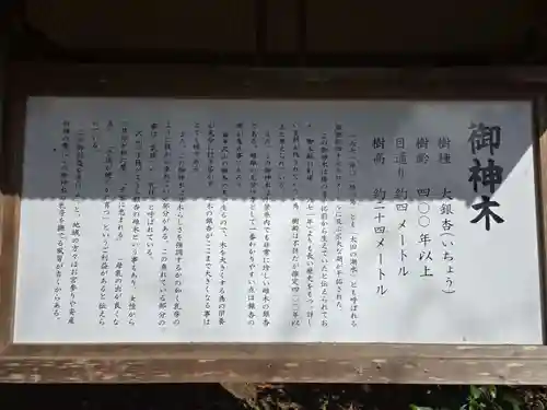 鎌数伊勢大神宮(千葉県)