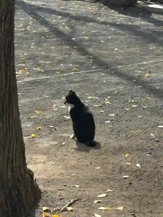 奥氷川神社(東京都)