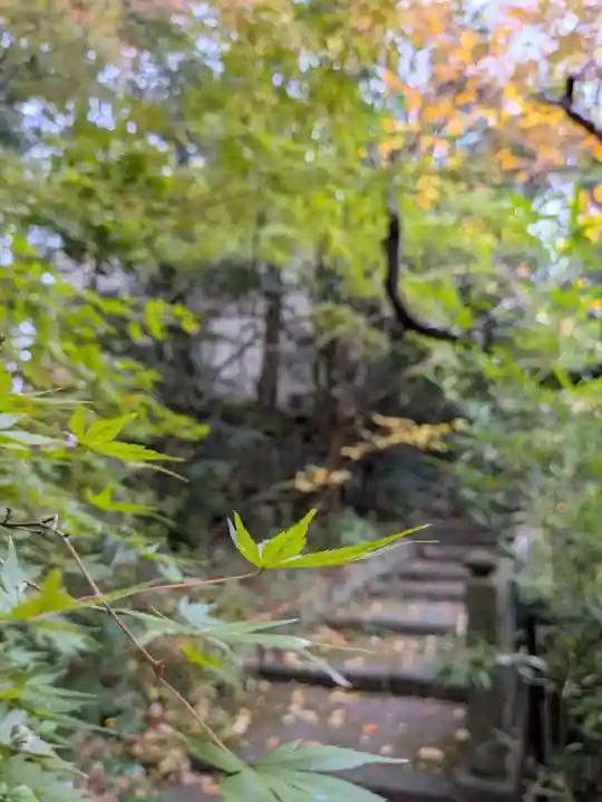 赤坂氷川神社(東京都)