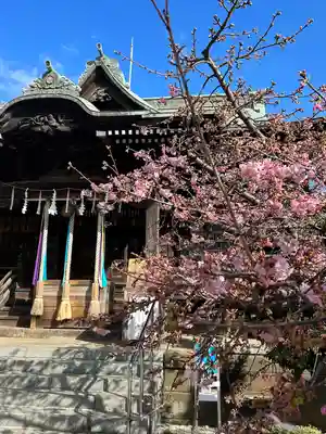 桜神宮(東京都)