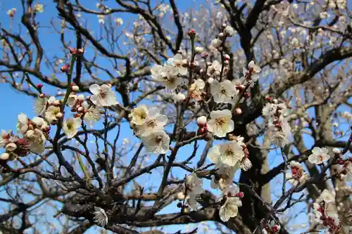 全徳寺(埼玉県)