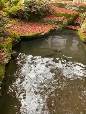 百済寺(滋賀県)