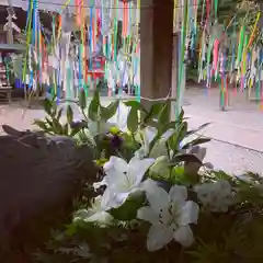 滑川神社 - 仕事と子どもの守り神の手水