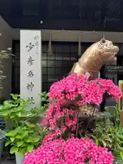 少彦名神社(大阪府)