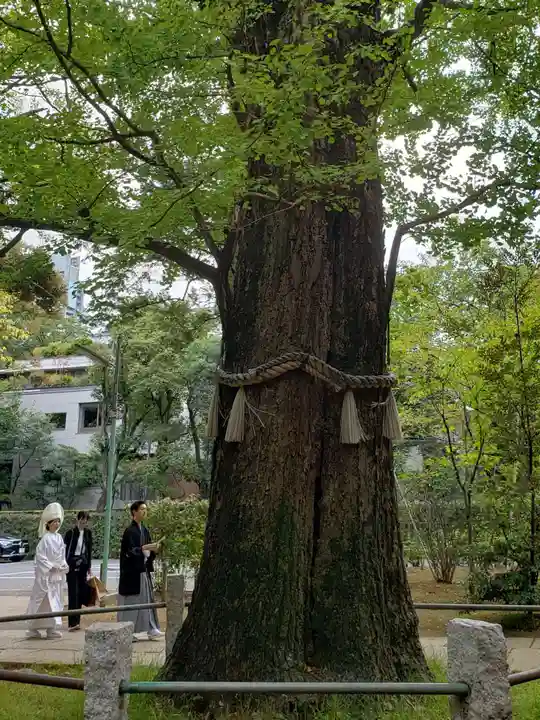 赤坂氷川神社(東京都)
