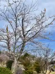 大生郷天満宮の自然