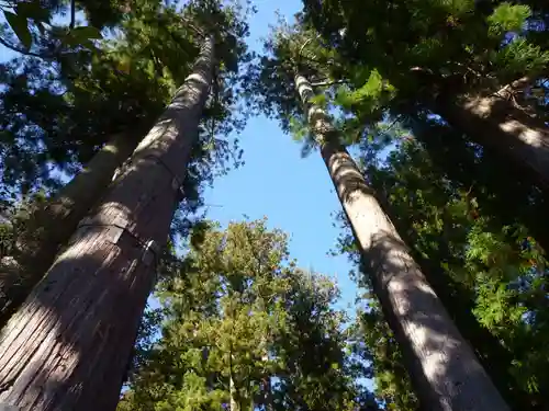御杖神社の自然