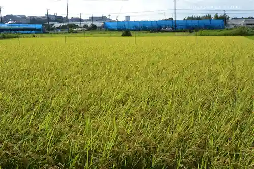 西八朔杉山神社の周辺