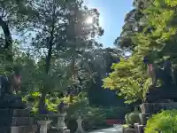 伏見稲荷大社(京都府)