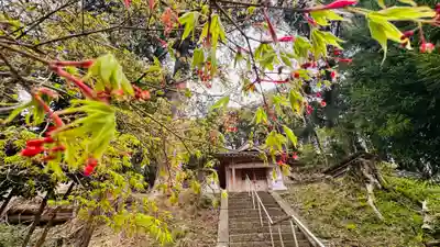白藤神社(兵庫県)