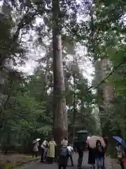 瀧原宮(皇大神宮別宮)(三重県)