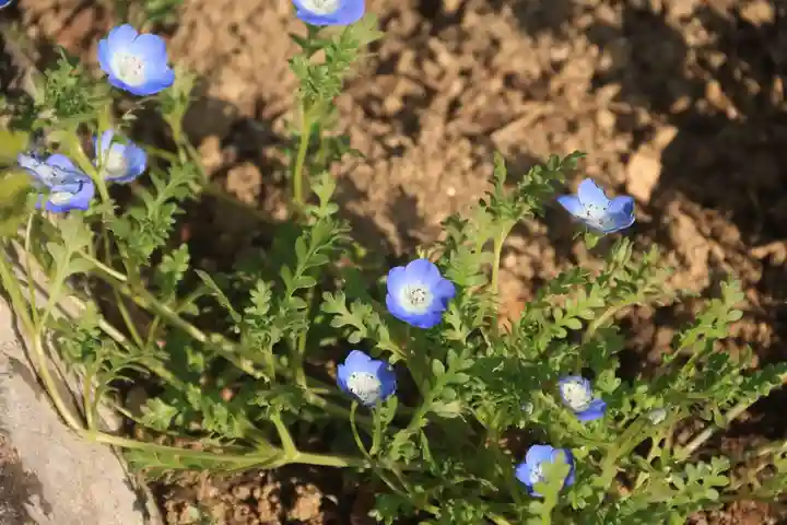大鏑神社の庭園