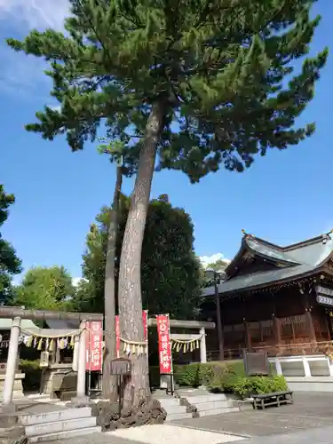 中野沼袋氷川神社のその他建物