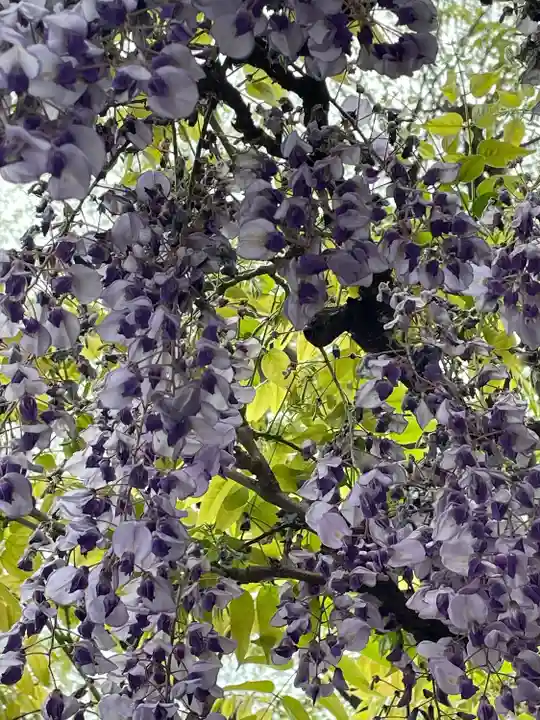 東長谷寺 薬王院(東京都)