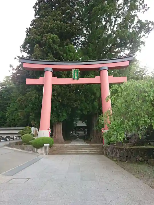 河口浅間神社の鳥居