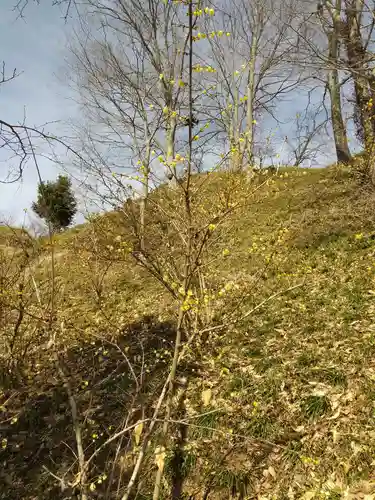 たばこ神社の自然