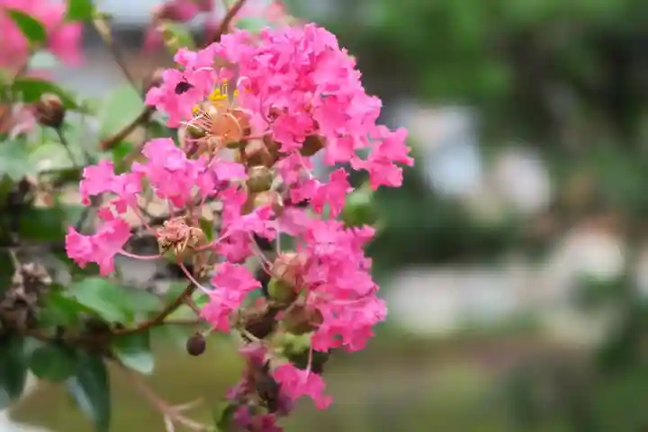 大門寺(大阪府)