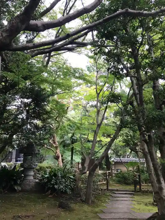 大正寺の庭園