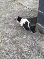 艮神社の動物