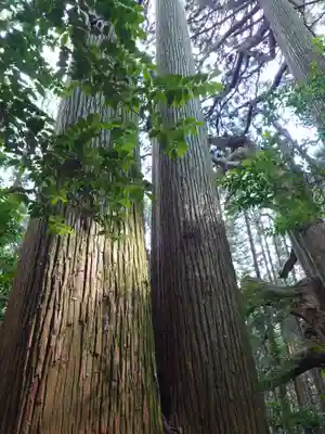 幣立神宮(熊本県)