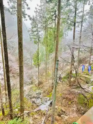 観音院の{uncategorized: "未分類", other: "その他", undefined: "問題あり", building: "その他建物", grave: "お墓", sacred_gate: "鳥居", guardian: "狛犬", statue: "像", buddha: "仏像", history: "歴史", nature: "自然", garden: "庭園", animal: "動物", pagoda: "塔", temizu: "手水舎", mountain_gate: "山門・神門", sanctuary: "本殿・本堂", subordinate: "末社・摂社", art: "芸術", scenery: "景色", jizo: "地蔵", ema: "絵馬", goshuin: "御朱印", omikuji: "おみくじ", items: "授与品その他", amulet: "お守り", goshuincho: "御朱印帳", eats: "食事", festival: "お祭り", votive_dance: "神楽", shichigosan: "七五三参", wedding: "結婚式", experience: "体験その他", initially: "初詣", around: "周辺", anti_infection: "感染症対策"}