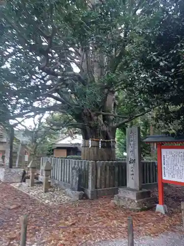 熊野速玉大社の御朱印