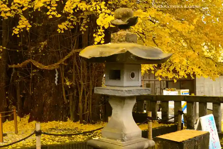 鶴嶺八幡宮(神奈川県)