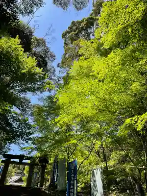 久山年神社の{uncategorized: "未分類", other: "その他", undefined: "問題あり", building: "その他建物", grave: "お墓", sacred_gate: "鳥居", guardian: "狛犬", statue: "像", buddha: "仏像", history: "歴史", nature: "自然", garden: "庭園", animal: "動物", pagoda: "塔", temizu: "手水舎", mountain_gate: "山門・神門", sanctuary: "本殿・本堂", subordinate: "末社・摂社", art: "芸術", scenery: "景色", jizo: "地蔵", ema: "絵馬", goshuin: "御朱印", omikuji: "おみくじ", items: "授与品その他", amulet: "お守り", goshuincho: "御朱印帳", eats: "食事", festival: "お祭り", votive_dance: "神楽", shichigosan: "七五三参", wedding: "結婚式", experience: "体験その他", initially: "初詣", around: "周辺", anti_infection: "感染症対策"}