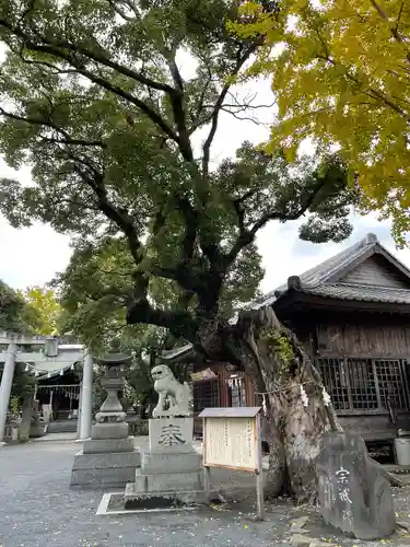 須賀神社の自然