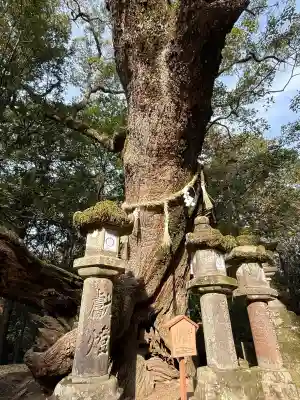 春日大社の{uncategorized: "未分類", other: "その他", undefined: "問題あり", building: "その他建物", grave: "お墓", sacred_gate: "鳥居", guardian: "狛犬", statue: "像", buddha: "仏像", history: "歴史", nature: "自然", garden: "庭園", animal: "動物", pagoda: "塔", temizu: "手水舎", mountain_gate: "山門・神門", sanctuary: "本殿・本堂", subordinate: "末社・摂社", art: "芸術", scenery: "景色", jizo: "地蔵", ema: "絵馬", goshuin: "御朱印", omikuji: "おみくじ", items: "授与品その他", amulet: "お守り", goshuincho: "御朱印帳", eats: "食事", festival: "お祭り", votive_dance: "神楽", shichigosan: "七五三参", wedding: "結婚式", experience: "体験その他", initially: "初詣", around: "周辺", anti_infection: "感染症対策"}