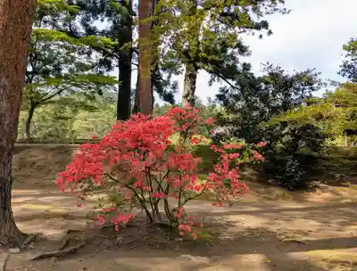 毛越寺(岩手県)
