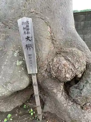 相模国総社六所神社(神奈川県)