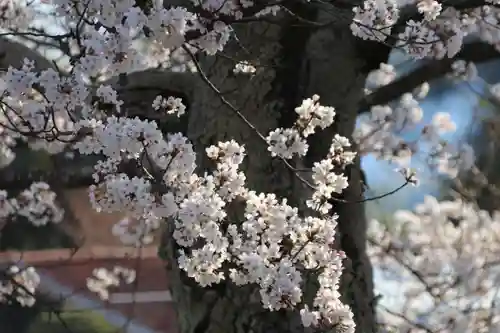 水天宮の庭園