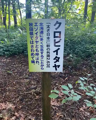 七座神社の建物その他