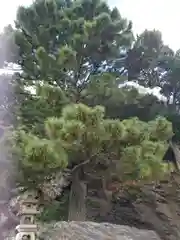 玉津島神社(和歌山県)