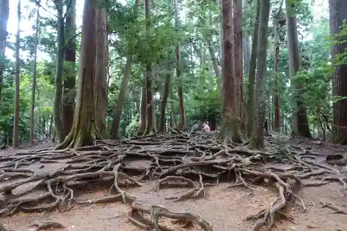 鞍馬寺(京都府)