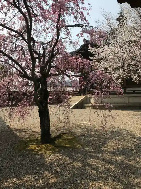 法隆寺 西円堂の{uncategorized: "未分類", other: "その他", undefined: "問題あり", building: "その他建物", grave: "お墓", sacred_gate: "鳥居", guardian: "狛犬", statue: "像", buddha: "仏像", history: "歴史", nature: "自然", garden: "庭園", animal: "動物", pagoda: "塔", temizu: "手水舎", mountain_gate: "山門・神門", sanctuary: "本殿・本堂", subordinate: "末社・摂社", art: "芸術", scenery: "景色", jizo: "地蔵", ema: "絵馬", goshuin: "御朱印", omikuji: "おみくじ", items: "授与品その他", amulet: "お守り", goshuincho: "御朱印帳", eats: "食事", festival: "お祭り", votive_dance: "神楽", shichigosan: "七五三参", wedding: "結婚式", experience: "体験その他", initially: "初詣", around: "周辺", anti_infection: "感染症対策"}