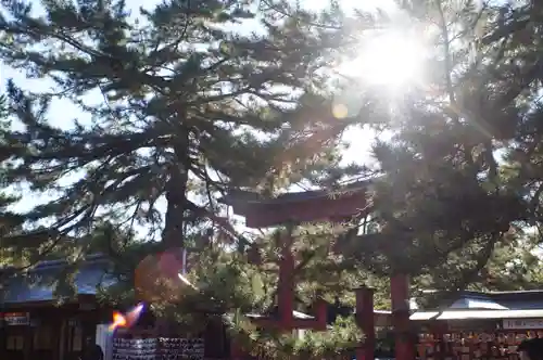 氣比神宮(福井県)