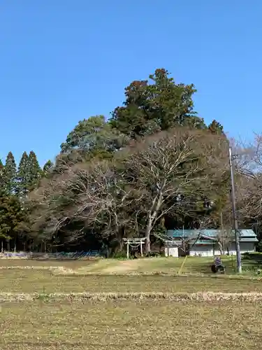 熊野神社の鳥居