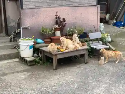 當田八幡神社の動物