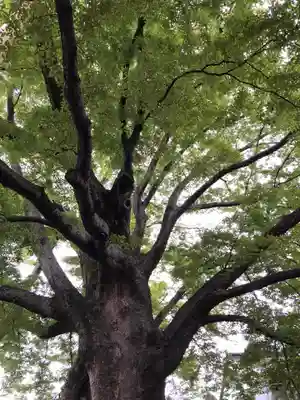 神明宮のその他建物