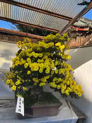 惣宗寺の芸術