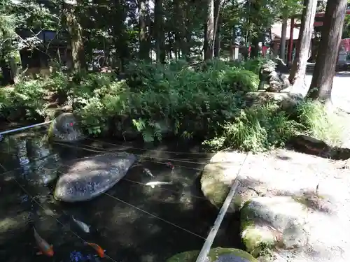 白鳥神社(岐阜県)