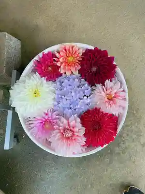 岡寺(龍蓋寺)(奈良県)