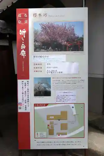 櫻本坊(奈良県)